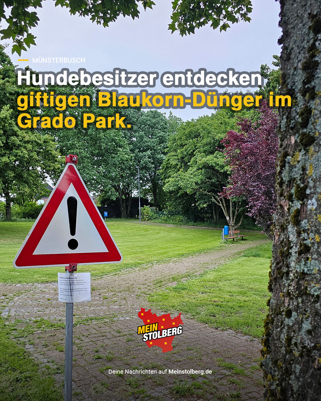 wieviel npk dünger auf rasen RASENBLITZ™ main image 0